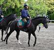 【新馬戦】フィリオソラーレ　併せ馬でレガレイラと互角の動き　太田助手が素質評価「走ることに真面目な元気な子」