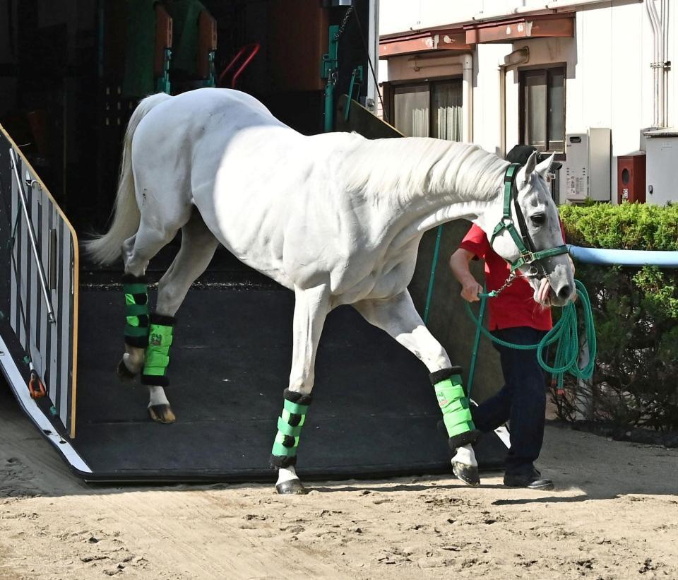 東京競馬場に到着したガイアフォース