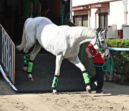 東京競馬場に到着したガイアフォース