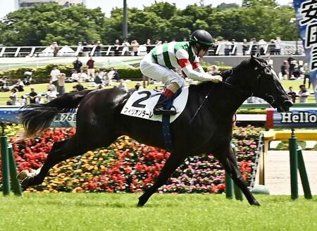 　５Ｒメイクデビュー東京を勝ったフィリオソラーレ
