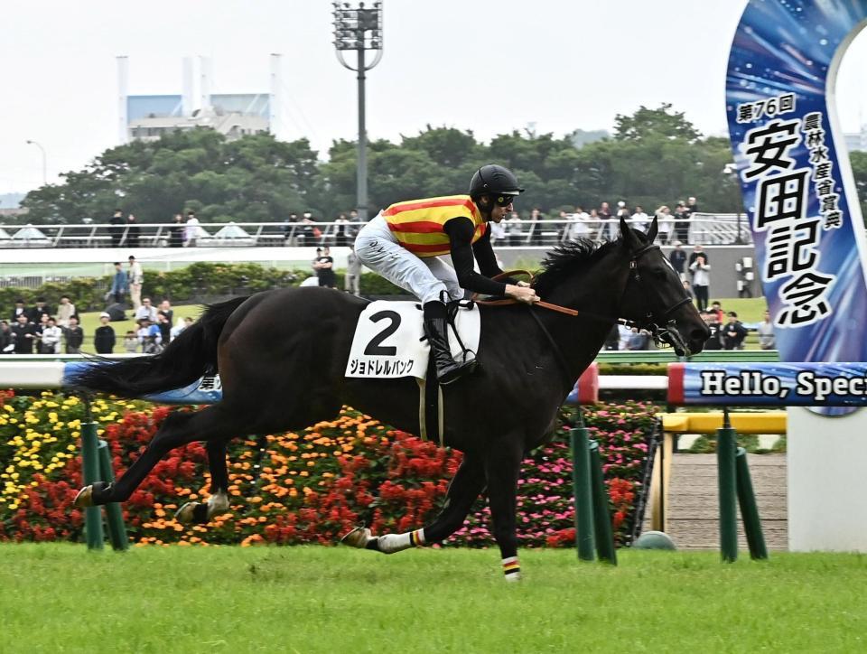 ５Ｒメイクデビュー東京を勝ったジョドレルバンク（撮影・持木克友）