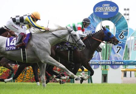 第７６回安田記念で２着に敗れたガイアフォース（左手前）