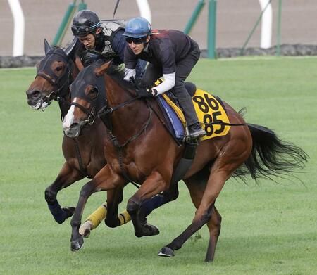 　函館芝で併せ馬を行ったカルプスペルシュ（手前）