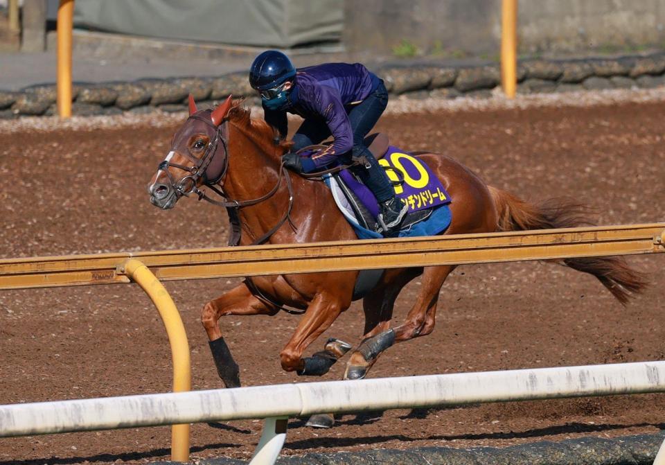栗東ＣＷで追い切るビザンチンドリーム（撮影・石湯恒介）