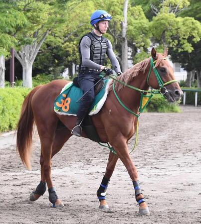 　注目の新種牡馬フライトライン産駒のデミアン（撮影・園田高夫）