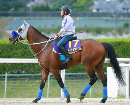 　連覇を狙うメイショウタバル