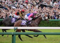 宝塚記念を制したメイショウタバル