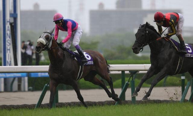 宝塚記念】2番人気のメイショウタバルが史上3頭目の連覇達成