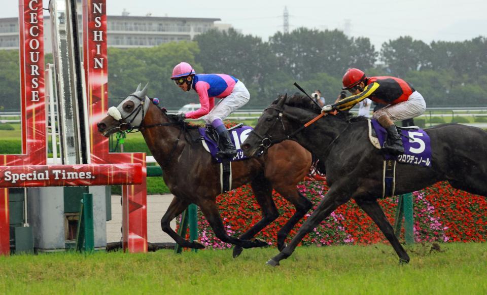 突然の雨も味方につけて粘りきったメイショウタバル（撮影・石湯恒介）