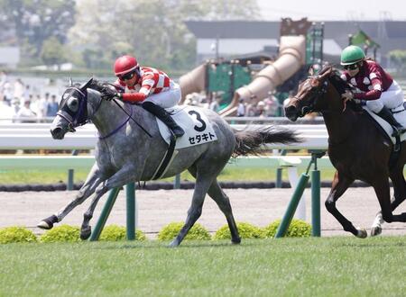 デビュー戦を逃げ切ったセタキト＝函館競馬場