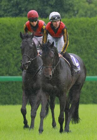 ２着に敗れたクロワデュノール（左）と９着のミュージアムマイル（撮影・石湯恒介）