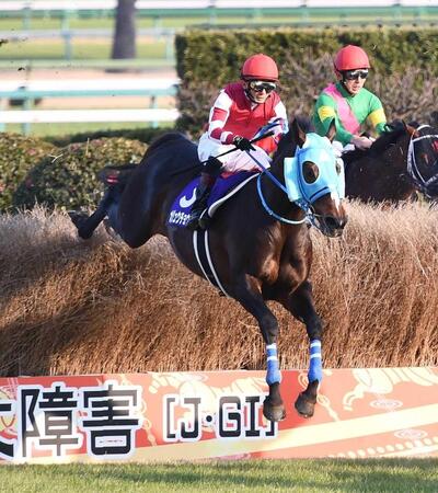 障害を飛び越えるオジュウチョウサン＝２０２１年１２月