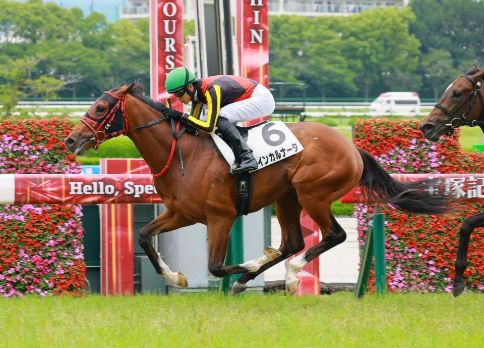 新馬戦を快勝したインカルナータ（撮影・石湯恒介）