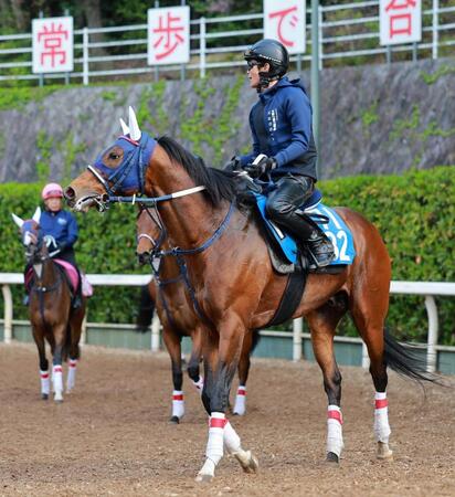 　重賞初Ｖを狙うスイープアワーズ