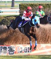 　２１年中山大障害で飛越するオジュウチョウサン