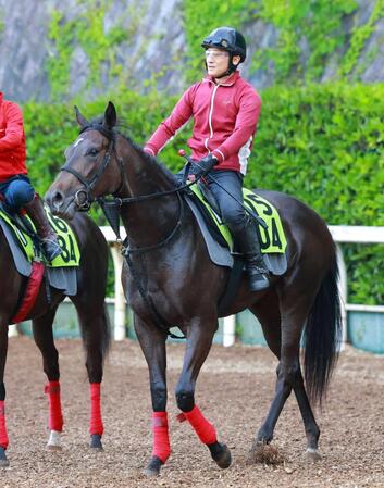 　ソフトバンク柳田が所有するブラックミューズ