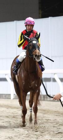 ２着になったジュワネング騎乗の岩田康