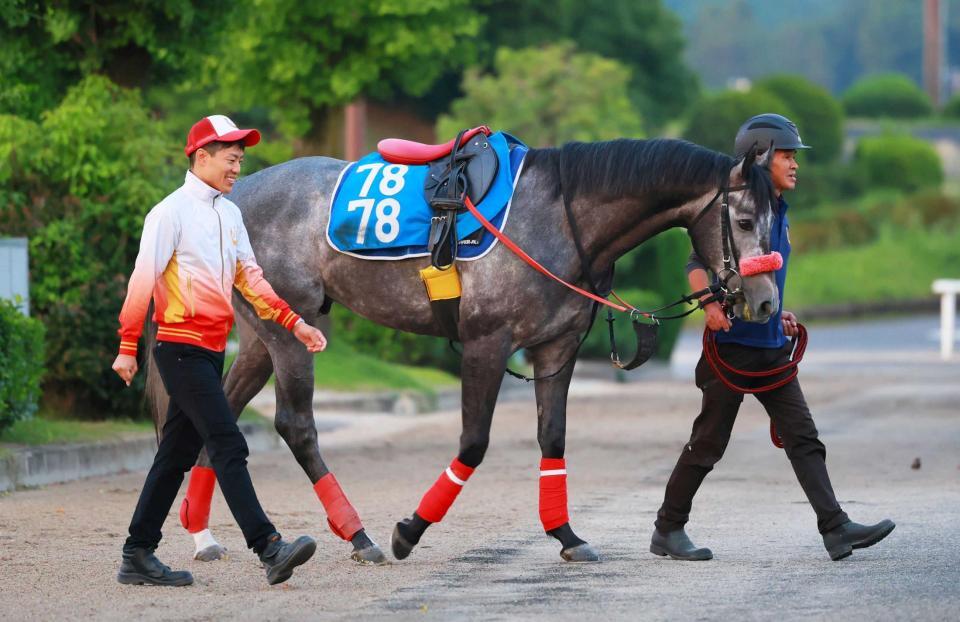 　重賞初制覇を狙うミニトランザット（撮影・石湯恒介）