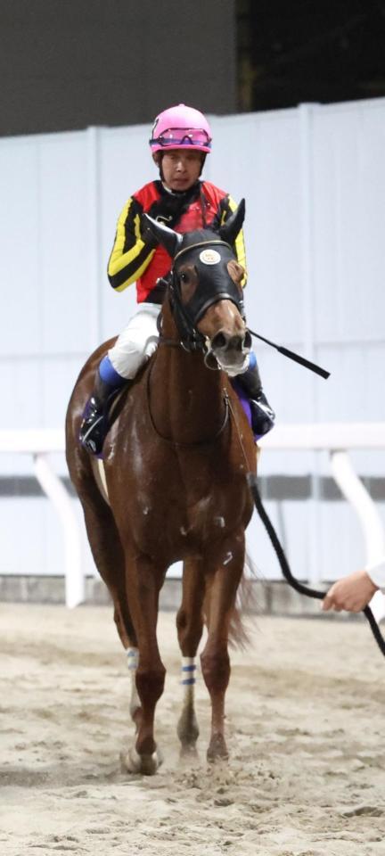 ２着になったジュワネング騎乗の岩田康