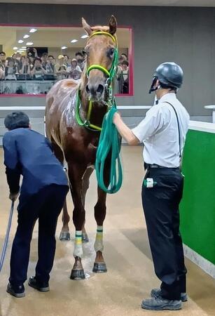 新馬戦を飾ったデミアン＝５月１３日