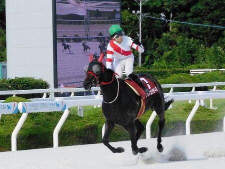 高知への転入初戦が古巣で重賞制覇のフクノユリディズ（撮影・中山伸治）