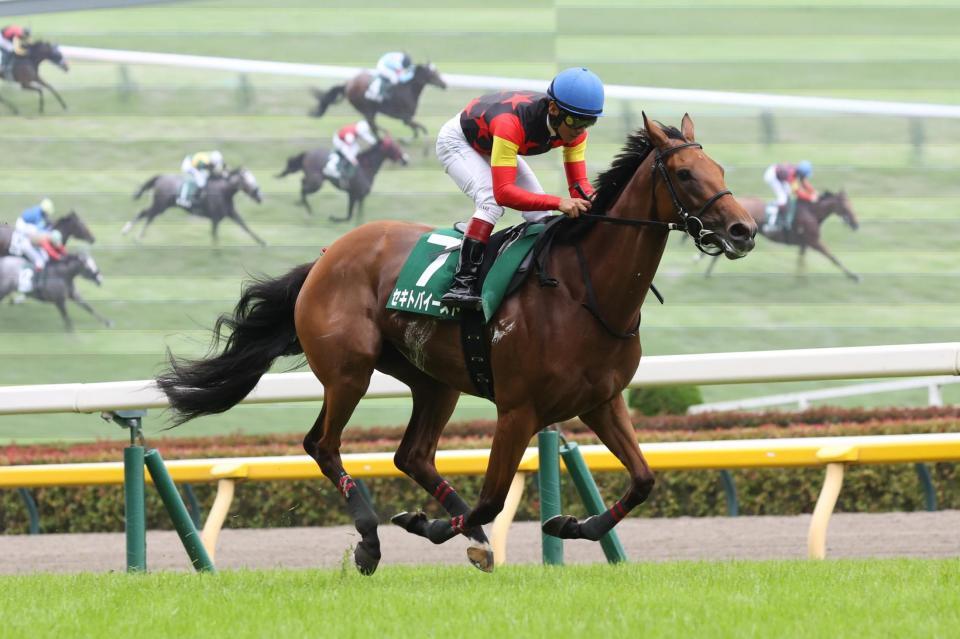 逃げ切るセキトバイースト