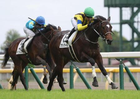 　逃げて後続を振り切るアヴィアトーレ（右）