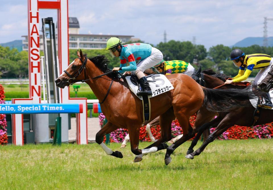 新馬戦を快勝したトップチェッカー（撮影・石湯恒介）