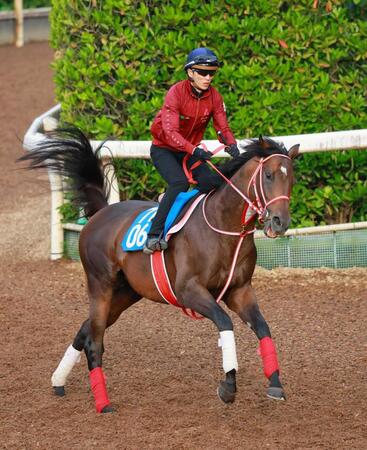 データ班がイチ推しするジュタ
