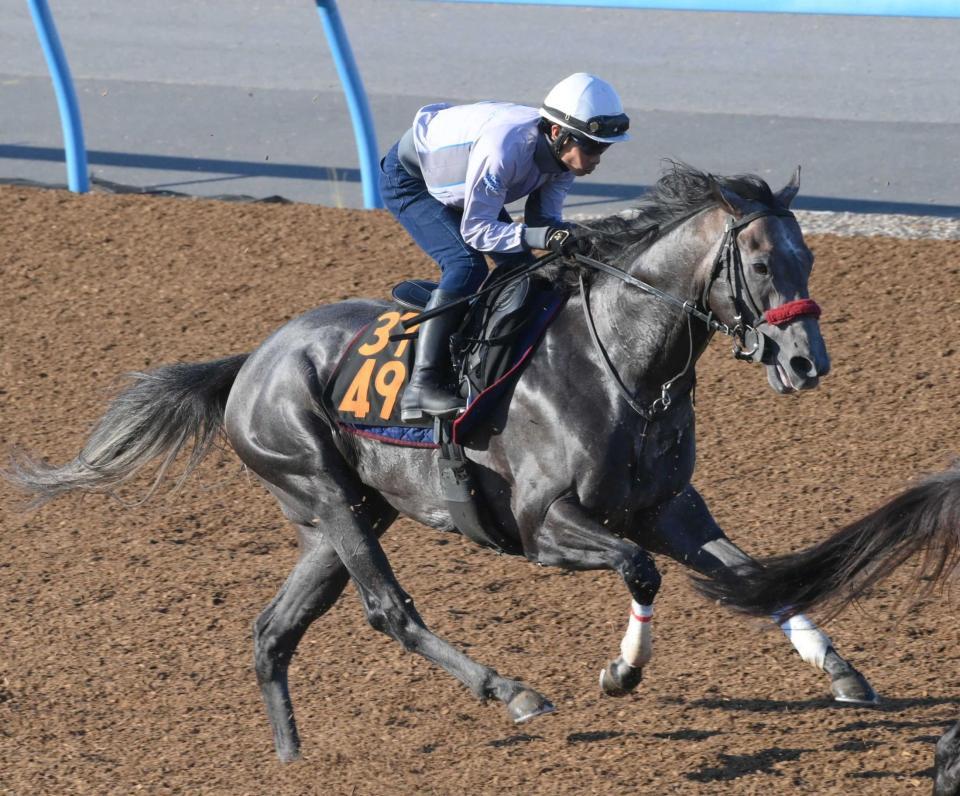 　重賞初挑戦初Ｖを狙うリッツパーティー