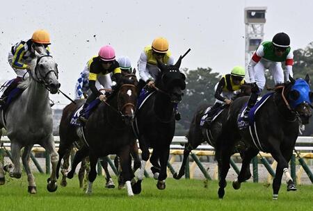安田記念を制したシックスペンス（右）＝６月７日