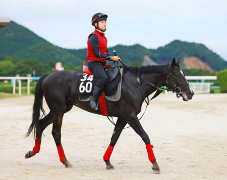 　重賞初制覇を狙う素質馬バドリナート