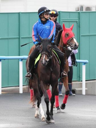 　馬場へ向かう秋本厩舎のルギッドドランジュ