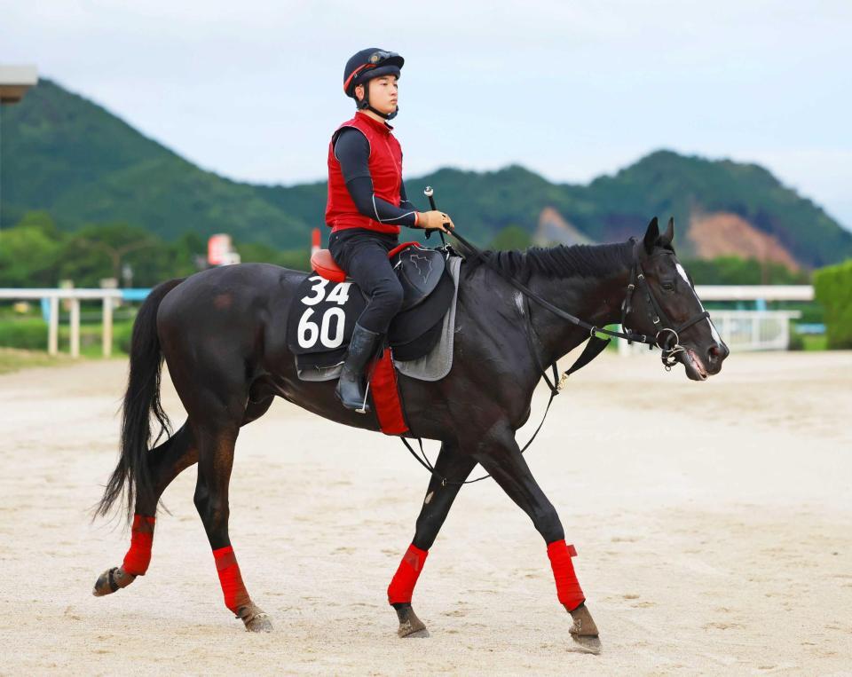 　重賞初制覇を狙う素質馬バドリナート