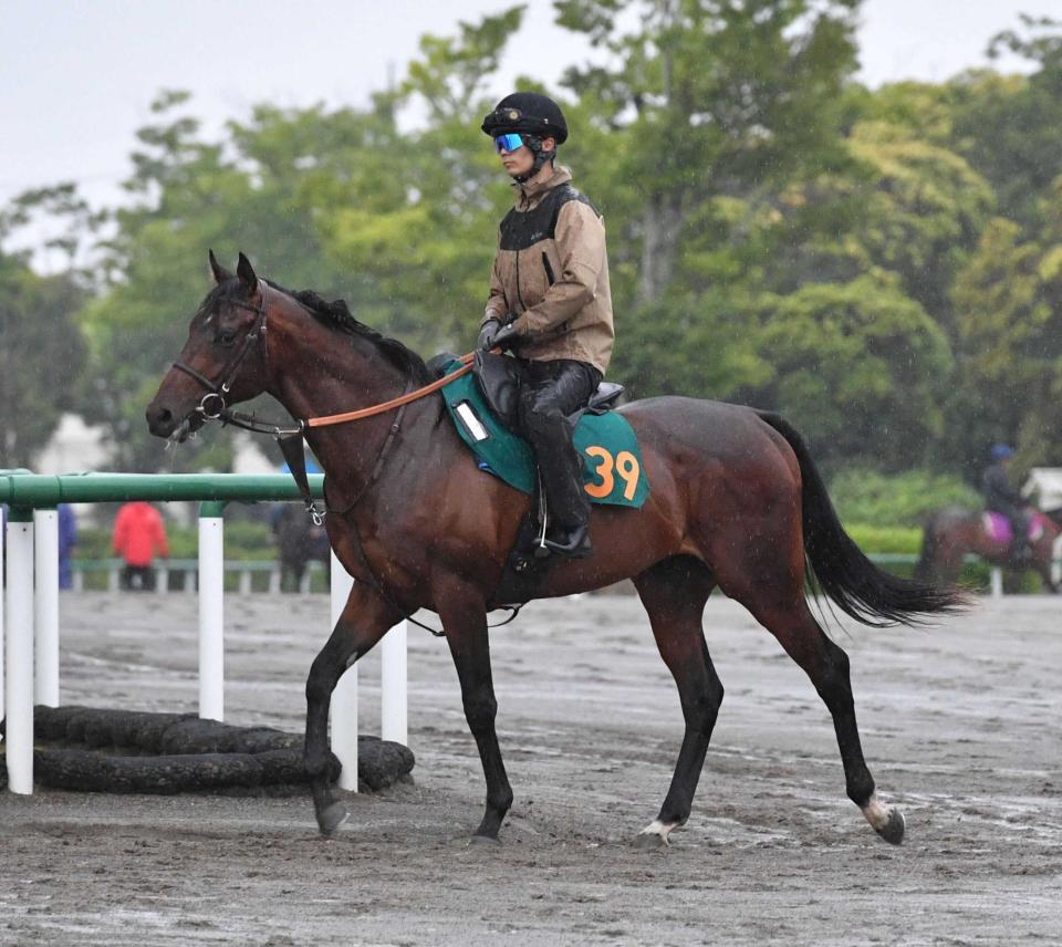 　初陣Ｖを狙うレッジェランツァ