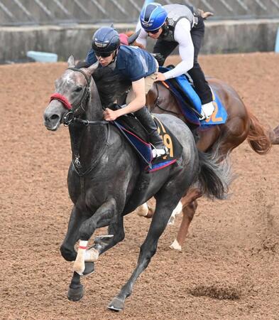　横山武を背に最先着を決めたリッツパーティー（手前）＝撮影・園田高夫