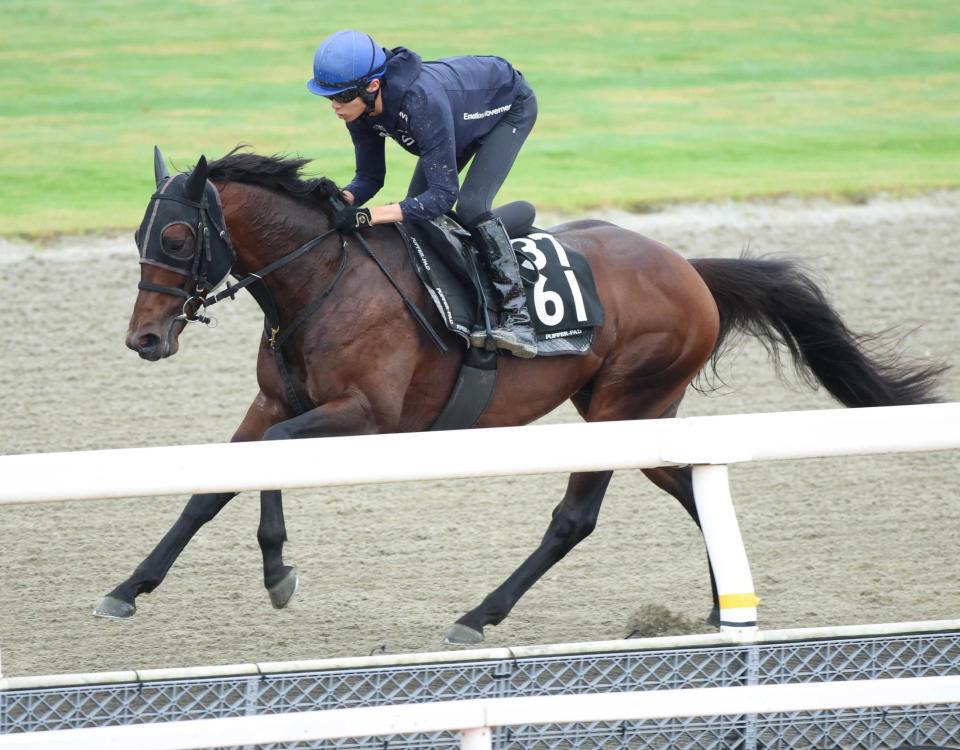 　順調に準備を進めたローベルクランツ（撮影・坂部計介）