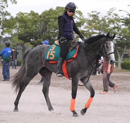 　厩舎ゆかりの血統馬シャインフォード