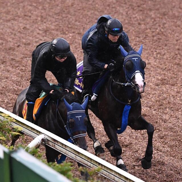 英G1キングジョージ6世＆クイーンエリザベスSに参戦する
