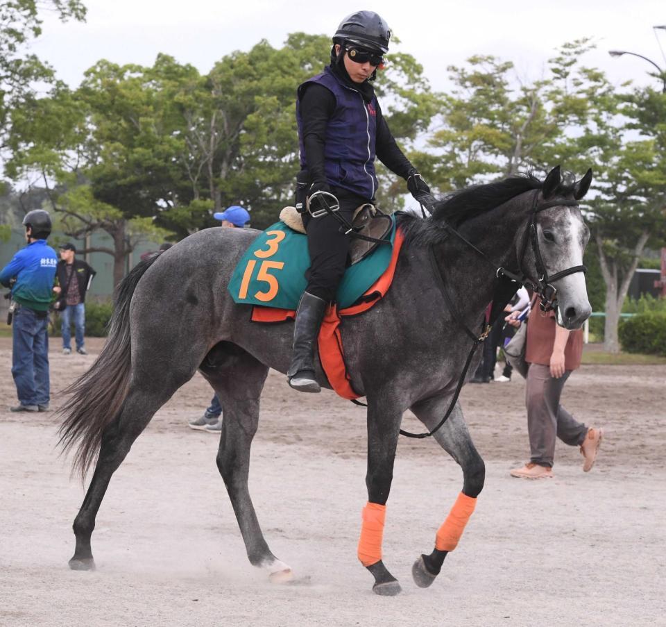 　厩舎ゆかりの血統馬シャインフォード