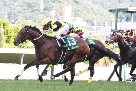 ラジオＮＩＫＫＥＩ賞を制したサノノグレーターと田辺裕信騎手（撮影・園田高夫）