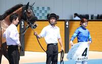 ７Ｒを勝利したキャットテイルと河原田騎手（右）