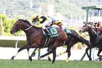 ラジオＮＩＫＫＥＩ賞を制したサノノグレーターと田辺裕信騎手（撮影・園田高夫）
