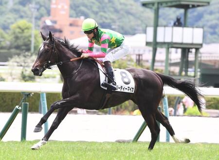 ４Ｒ・２歳新馬戦を制したジーティーマイカ（撮影・園田高夫）
