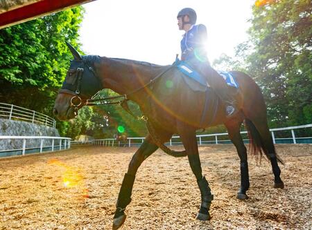 　悲願の重賞初Ｖに挑む８歳馬ヨシノイースター