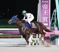 帝王賞を制したミッキーファイトと戸崎