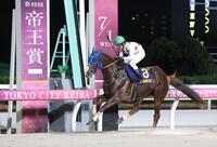 帝王賞を制したミッキーファイトと戸崎