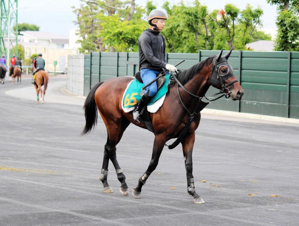 　新種牡馬フライトライン産駒の２勝目を狙うショウナンガレオン