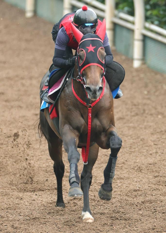 　重賞初Ｖに向けて好調をアピールしたフリッカージャブ（撮影・坂部計介）