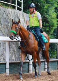 　新馬ジャンゴッド＝栗東トレセン（撮影・石湯恒介）